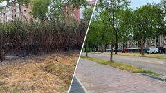 Brandstichting aan de Meridiaan in Amersfoort leidt tot onrust