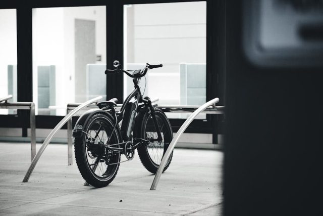 E-bike Cortina Orus - 625Wh - 5.800 km