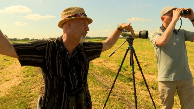 Eddy Zoëy en de waarheid over zwanen: blijven ze altijd samen?