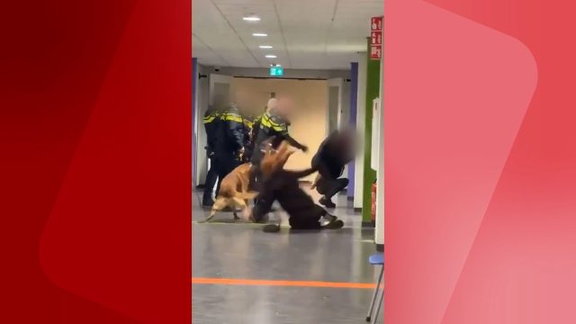 Interne commissie concludeert politiegeweld in Zeist was noodzakelijk