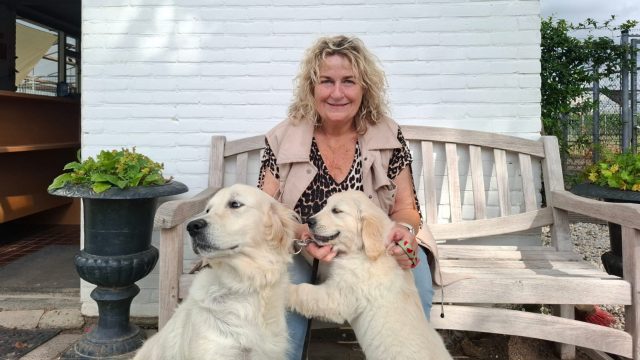 Drukte in dierenhotel Wijk bij Duurstede door zomervakantie