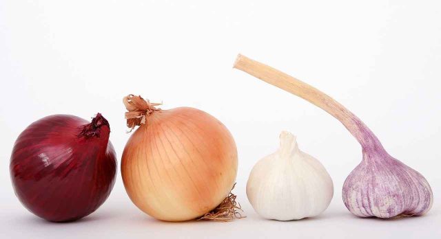 Vegan en Vegetarisch Eten in Utrecht: Onze Favoriete Adresjes