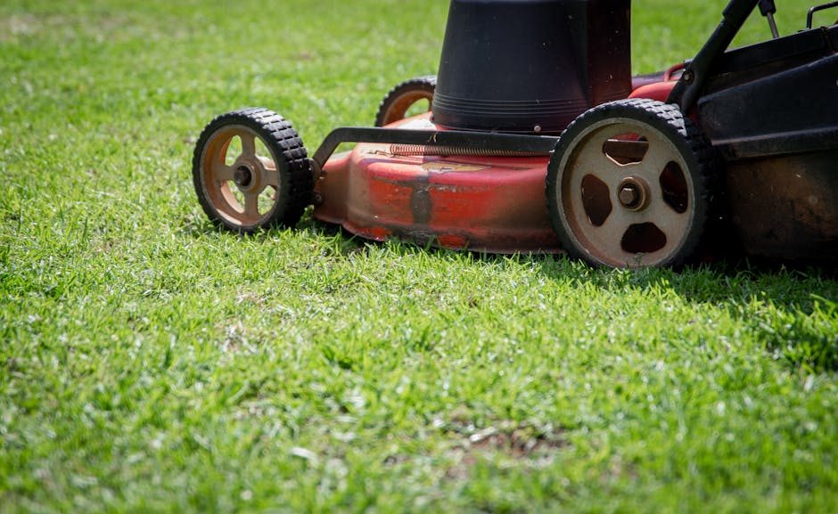 Fiskars Heggenschaar - Elektrisch - Gereviseerd
