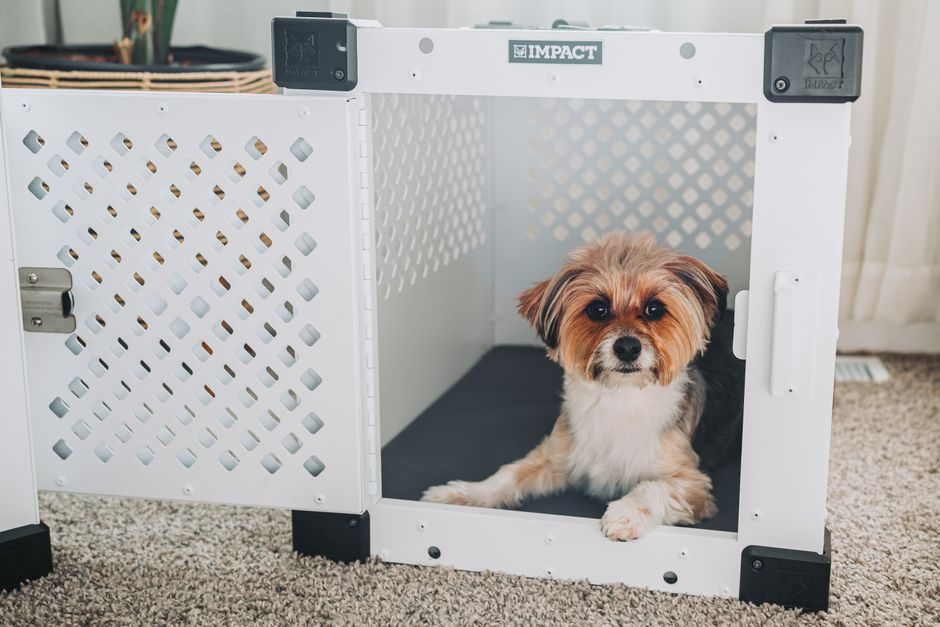 Reisbench L - Ruffwear
