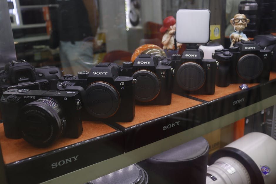 Sony Alpha 6400 + 28-70mm - 22.000 clicks