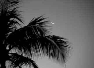 Al Nassr – Inter Miami Opstellingen: Wie Maakt De Show In Deze Wereldwijde Clash? Al Nassr - Inter Miami Opstellingen: Wie Maakt De Show In Deze Wereldwijde Clash?