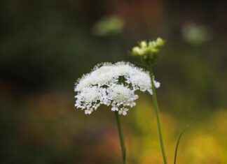Anne&Max Utrecht Domkwartier: Het Café Voor Je Ontspanning In Utrecht Anne&Max Utrecht Domkwartier: Het Café Voor Je Ontspanning In Utrecht