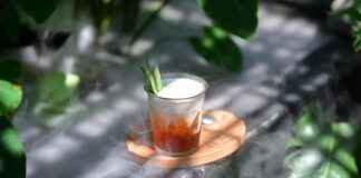 Botanische Tuin In Utrecht: Verken De Unieke Tuinen Van Utrecht Botanische Tuin In Utrecht: Verken De Unieke Tuinen Van Utrecht