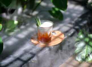 Botanische Tuin In Utrecht: Verken De Unieke Tuinen Van Utrecht Botanische Tuin In Utrecht: Verken De Unieke Tuinen Van Utrecht