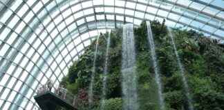 Botanische Tuinen Universiteit Utrecht Botanische Tuinen Universiteit Utrecht