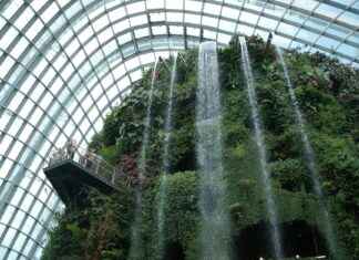 Botanische Tuinen Universiteit Utrecht Botanische Tuinen Universiteit Utrecht
