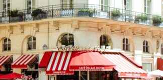 Brasserie Van Dam Cornelis Schuytstraat Amsterdam: Geniet Van De Franse Keuken In Amsterdam Brasserie Van Dam Cornelis Schuytstraat Amsterdam: Geniet Van De Franse Keuken In Amsterdam