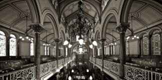 Brighton & Hove Albion FC – Manchester United Opstellingen: Premier League Opstellingen Onthuld Brighton & Hove Albion FC - Manchester United Opstellingen: Premier League Opstellingen Onthuld