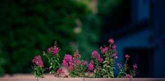 FC Twente – Sparta Rotterdam Opstellingen: Bekijk De Opstellingstips Voor Deze Eredivisie Krachtmeting FC Twente - Sparta Rotterdam Opstellingen: Bekijk De Opstellingstips Voor Deze Eredivisie Krachtmeting