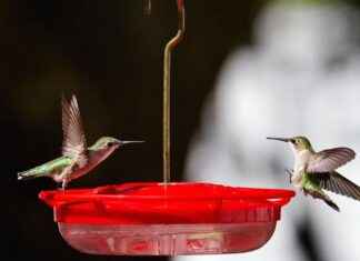 Vliegtickets Van Amsterdam Naar Athene: Boek Je Vliegtickets Van Amsterdam Naar Athene Vliegtickets Van Amsterdam Naar Athene: Boek Je Vliegtickets Van Amsterdam Naar Athene