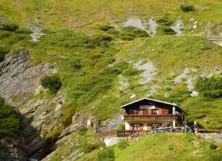 Holiday Inn Express Amsterdam Arena Towers: Comfortabel Verblijf Dichtbij Amsterdam Arena Holiday Inn Express Amsterdam Arena Towers: Comfortabel Verblijf Dichtbij Amsterdam Arena