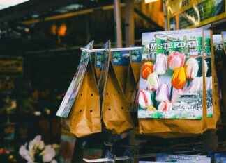 Ingang Oase In Vogelenzang Amsterdamse Waterleidingduinen: Ontdek De Prachtige Natuur In Amsterdam Ingang Oase In Vogelenzang Amsterdamse Waterleidingduinen: Ontdek De Prachtige Natuur In Amsterdam