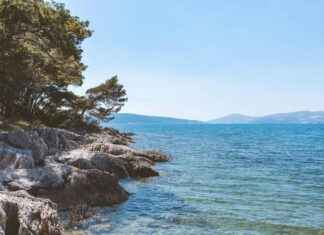 Kroatisch Voetbalelftal – Italiaans Voetbalelftal Opstellingen: Tactisch Schaakspel Tussen Giganten Kroatisch Voetbalelftal - Italiaans Voetbalelftal Opstellingen: Tactisch Schaakspel Tussen Giganten