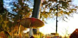 Mediamarkt Utrecht Hoog Catharijne: De Beste Techproducten In Utrecht Mediamarkt Utrecht Hoog Catharijne: De Beste Techproducten In Utrecht