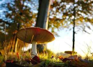 Mediamarkt Utrecht Hoog Catharijne: De Beste Techproducten In Utrecht Mediamarkt Utrecht Hoog Catharijne: De Beste Techproducten In Utrecht