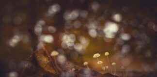 Mediamarkt Utrecht The Wall: Alles Wat Je Moet Weten Voor Je Bezoek Mediamarkt Utrecht The Wall: Alles Wat Je Moet Weten Voor Je Bezoek