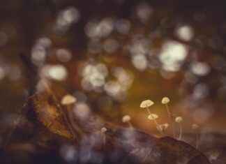 Mediamarkt Utrecht The Wall: Alles Wat Je Moet Weten Voor Je Bezoek Mediamarkt Utrecht The Wall: Alles Wat Je Moet Weten Voor Je Bezoek