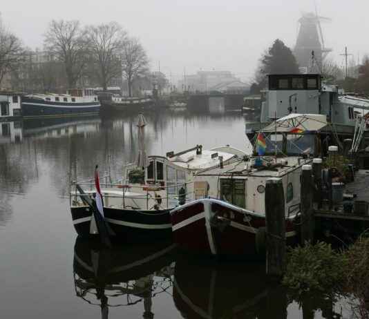 Meisje Springt Van Flat Amsterdam Noord Destiny: Het Tragische Voorval In Amsterdam Noord Meisje Springt Van Flat Amsterdam Noord Destiny: Het Tragische Voorval In Amsterdam Noord