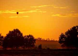 Nederlands Elftal – Schots Voetbalelftal Opstellingen: Wie Brengt Oranje Naar De Overwinning? Nederlands Elftal - Schots Voetbalelftal Opstellingen: Wie Brengt Oranje Naar De Overwinning?