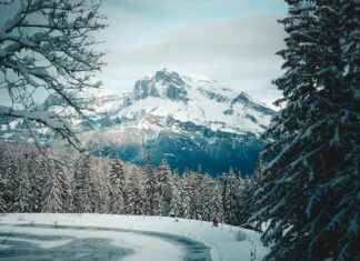 Nottingham Forest FC – Manchester United Opstellingen: Ontdek De Verwachte Startopstelling Voor Deze Confrontatie Nottingham Forest FC - Manchester United Opstellingen: Ontdek De Verwachte Startopstelling Voor Deze Confrontatie