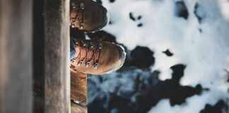 Oostenrijks Voetbalelftal – Frans Voetbalelftal Opstellingen: Wie Vult De Sleutelposities In? Oostenrijks Voetbalelftal - Frans Voetbalelftal Opstellingen: Wie Vult De Sleutelposities In?