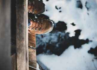 Oostenrijks Voetbalelftal – Frans Voetbalelftal Opstellingen: Wie Vult De Sleutelposities In? Oostenrijks Voetbalelftal - Frans Voetbalelftal Opstellingen: Wie Vult De Sleutelposities In?