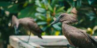 Park Sleep And Fly Amsterdam Schiphol: Combineer Parkeren En Vliegen Dichtbij Schiphol Park Sleep And Fly Amsterdam Schiphol: Combineer Parkeren En Vliegen Dichtbij Schiphol