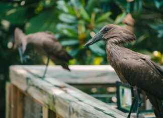 Park Sleep And Fly Amsterdam Schiphol: Combineer Parkeren En Vliegen Dichtbij Schiphol Park Sleep And Fly Amsterdam Schiphol: Combineer Parkeren En Vliegen Dichtbij Schiphol