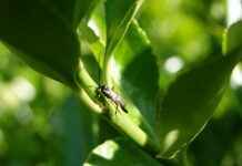 Table Du Sud Utrecht: Geniet Van De Smaken Van Zuid-Frankrijk In Utrecht Table Du Sud Utrecht: Geniet Van De Smaken Van Zuid-Frankrijk In Utrecht