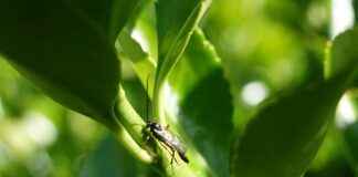 Table Du Sud Utrecht: Geniet Van De Smaken Van Zuid-Frankrijk In Utrecht Table Du Sud Utrecht: Geniet Van De Smaken Van Zuid-Frankrijk In Utrecht