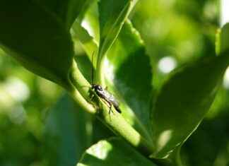 Table Du Sud Utrecht: Geniet Van De Smaken Van Zuid-Frankrijk In Utrecht Table Du Sud Utrecht: Geniet Van De Smaken Van Zuid-Frankrijk In Utrecht