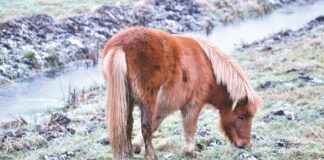 Things To See In Utrecht: De Belangrijkste Bezienswaardigheden In Utrecht Things To See In Utrecht: De Belangrijkste Bezienswaardigheden In Utrecht