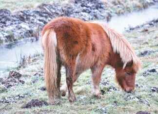 Things To See In Utrecht: De Belangrijkste Bezienswaardigheden In Utrecht Things To See In Utrecht: De Belangrijkste Bezienswaardigheden In Utrecht