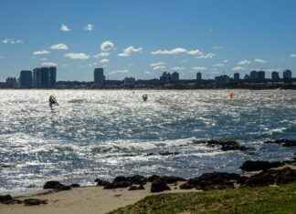 Uruguayaans Voetbalelftal – Colombiaans Voetbalelftal Opstellingen: Welke Sterspelers Starten In Deze Clash? Uruguayaans Voetbalelftal - Colombiaans Voetbalelftal Opstellingen: Welke Sterspelers Starten In Deze Clash?