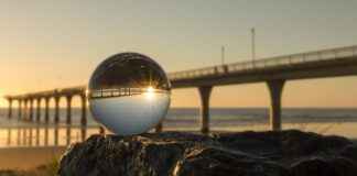 Brighton & Hove Albion FC – Manchester United Statistieken: De Analyse Brighton & Hove Albion FC - Manchester United Statistieken: De Analyse