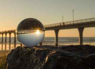 Brighton & Hove Albion FC – Manchester United Statistieken: De Analyse Brighton & Hove Albion FC - Manchester United Statistieken: De Analyse