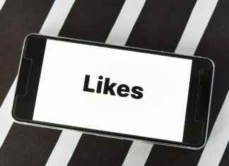 CBS Centraal Bureau Voor De Statistiek: De Rol In Nederland CBS Centraal Bureau Voor De Statistiek: De Rol In Nederland