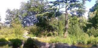 Crystal Palace – Manchester United Statistieken: Wat Weten We Tot Nu Toe? Crystal Palace - Manchester United Statistieken: Wat Weten We Tot Nu Toe?