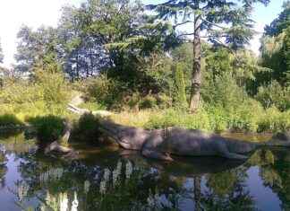 Crystal Palace – Manchester United Statistieken: Wat Weten We Tot Nu Toe? Crystal Palace - Manchester United Statistieken: Wat Weten We Tot Nu Toe?