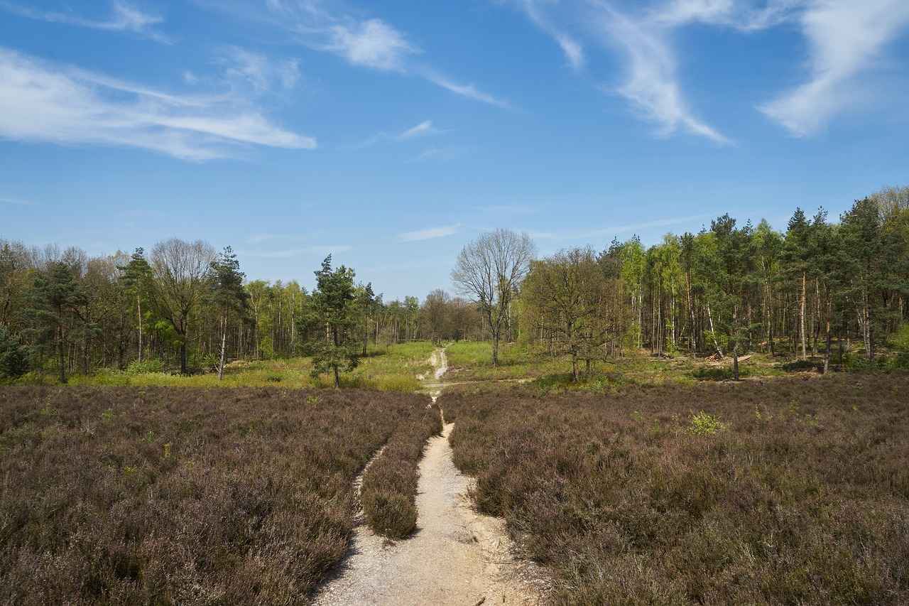 Waarom zijn deze winkels belangrijk?