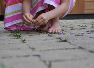 De Mooiste Terrassen van Utrecht om te Genieten van een Lunch in de Zon De Mooiste Terrassen van Utrecht om te Genieten van een Lunch in de Zon