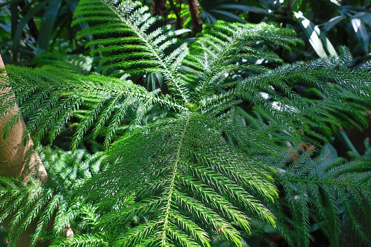 Hoe presteert de Oude Hortus?