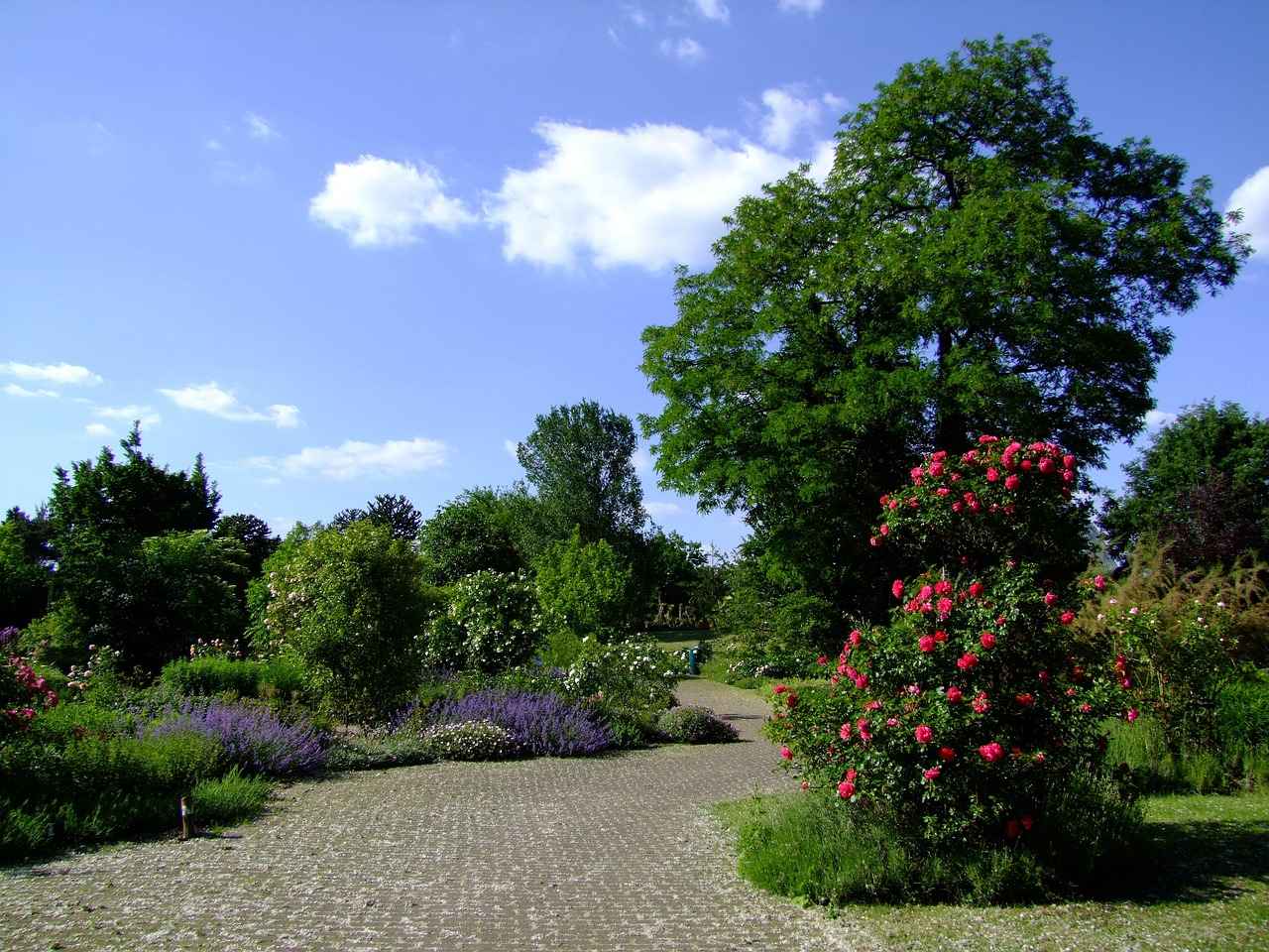 Digitale rondleidingen