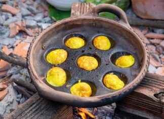 De Smaak van Utrecht: Interviews met Lokale Chefs en Restauranthouders De Smaak van Utrecht: Interviews met Lokale Chefs en Restauranthouders