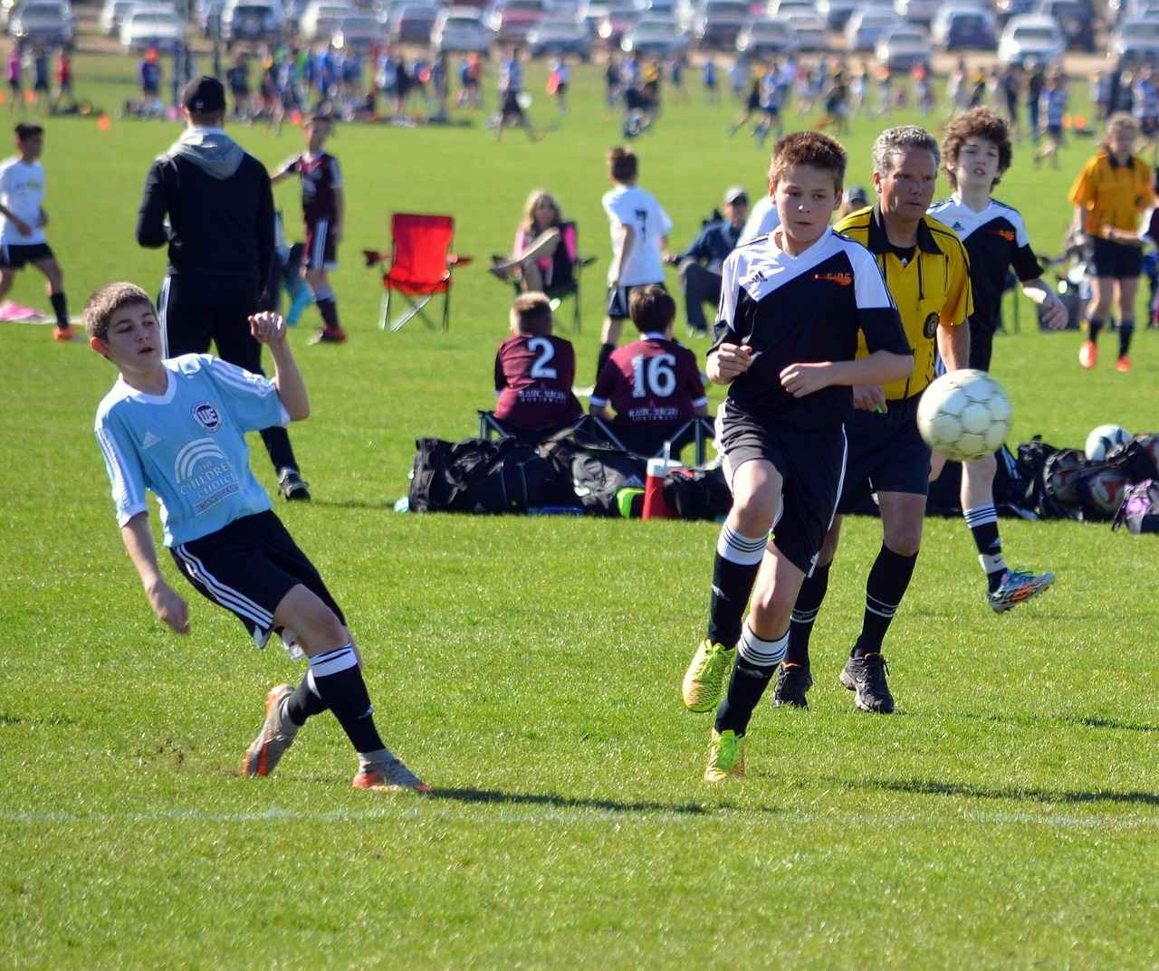 Belangrijkste Spelers